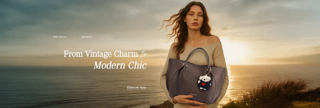 The Evolution of Handbag Designs: From Classic to Contemporary