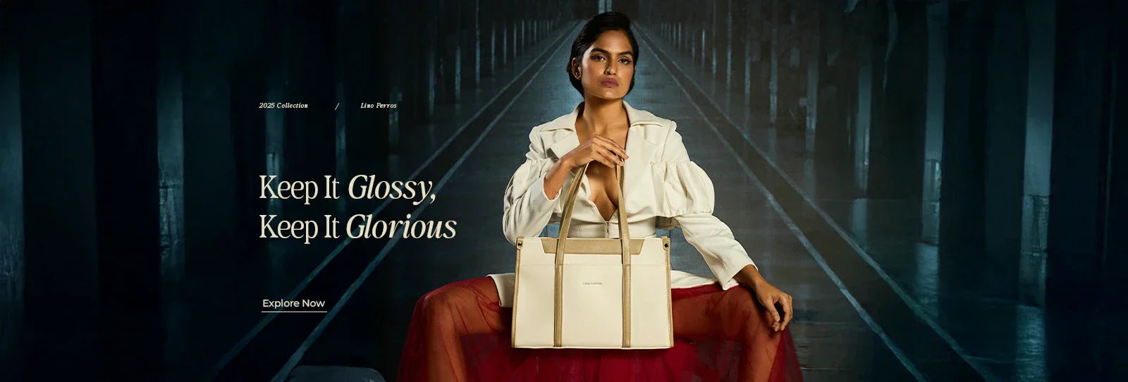 Handbag Care 101: Tips to Maintain Your Bag’s Shine and Durability - Lino Perros