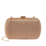 Texas Stylish Champagne Clutch