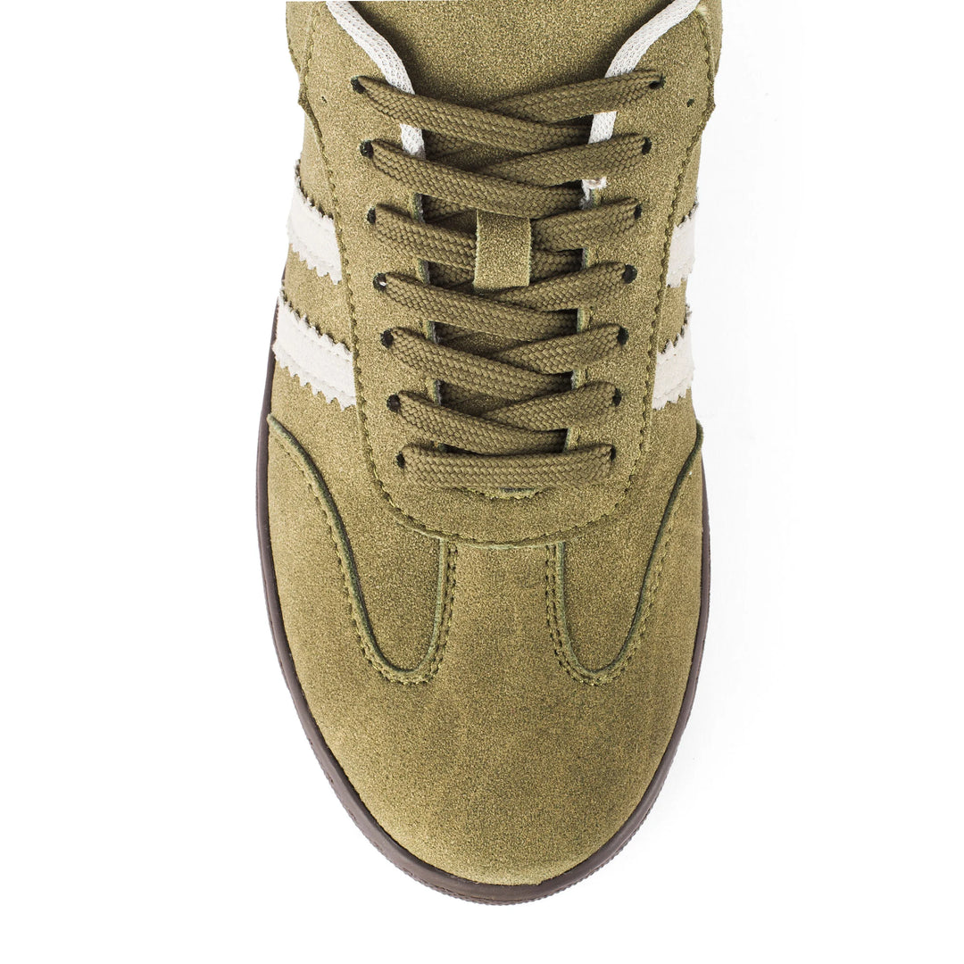 #color_olive