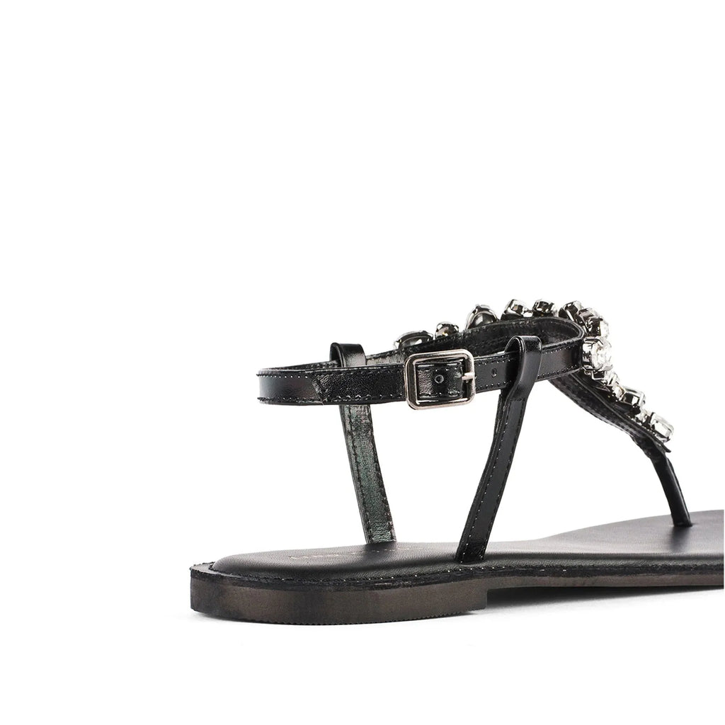 LWF00166BLACK-5 - Lino Perros