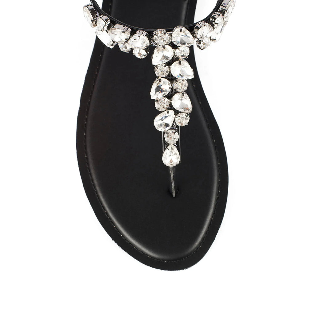 LWF00166BLACK-6 - Lino Perros