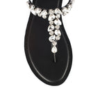 LWF00166BLACK-6 - Lino Perros