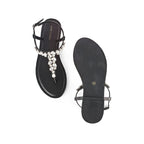 LWF00166BLACK-7 - Lino Perros