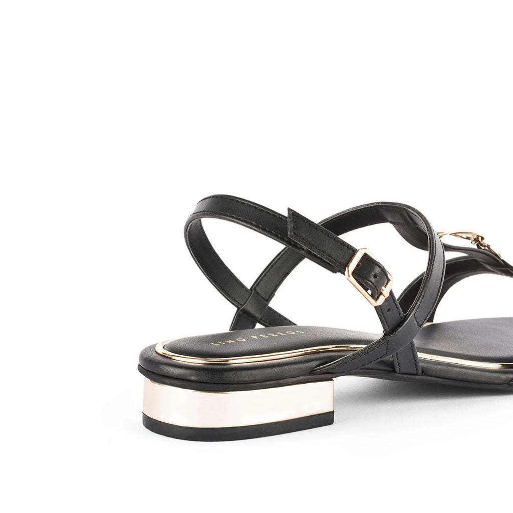 LWF00170BLACK-5 - Lino Perros