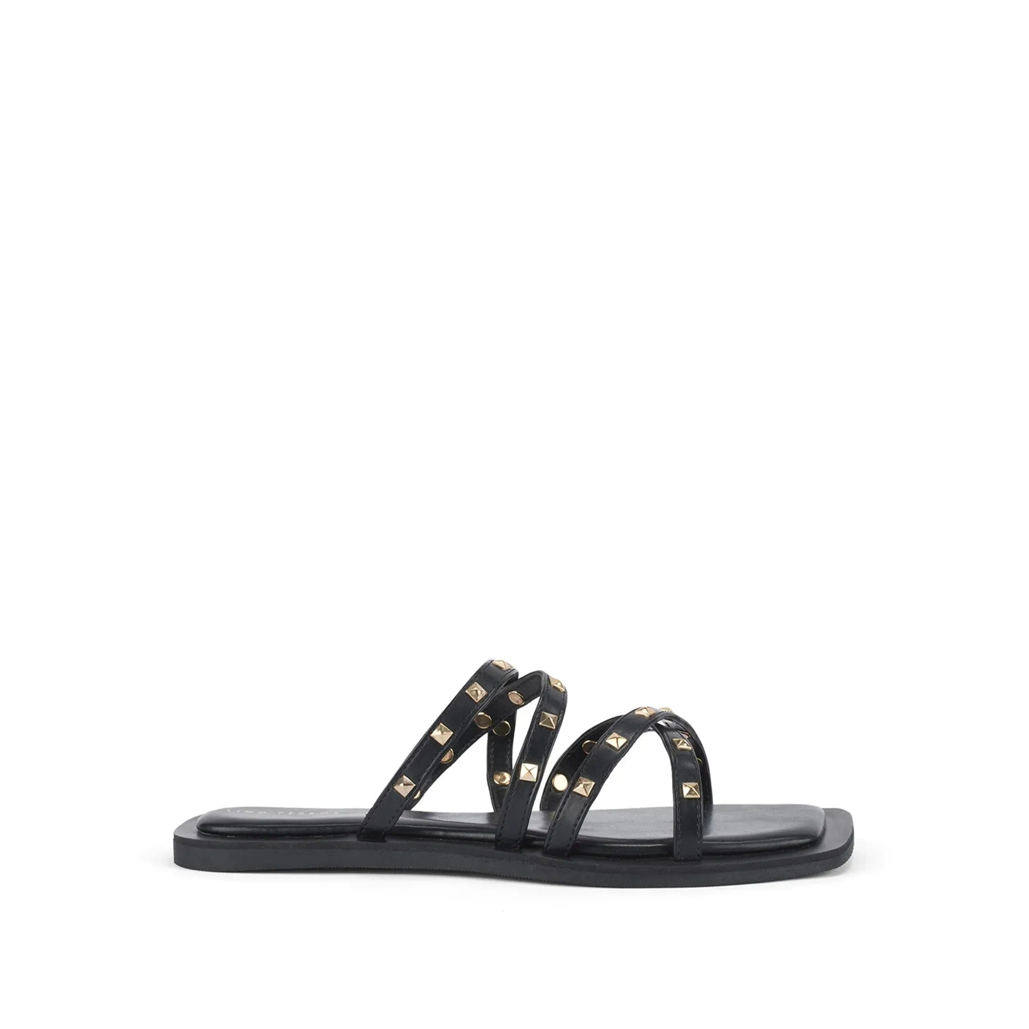 LWF00172BLACK-2 - Lino Perros