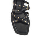 LWF00172BLACK-5 - Lino Perros