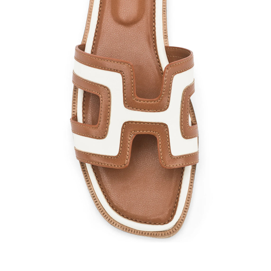 LWF00204TAN-5 - Lino Perros