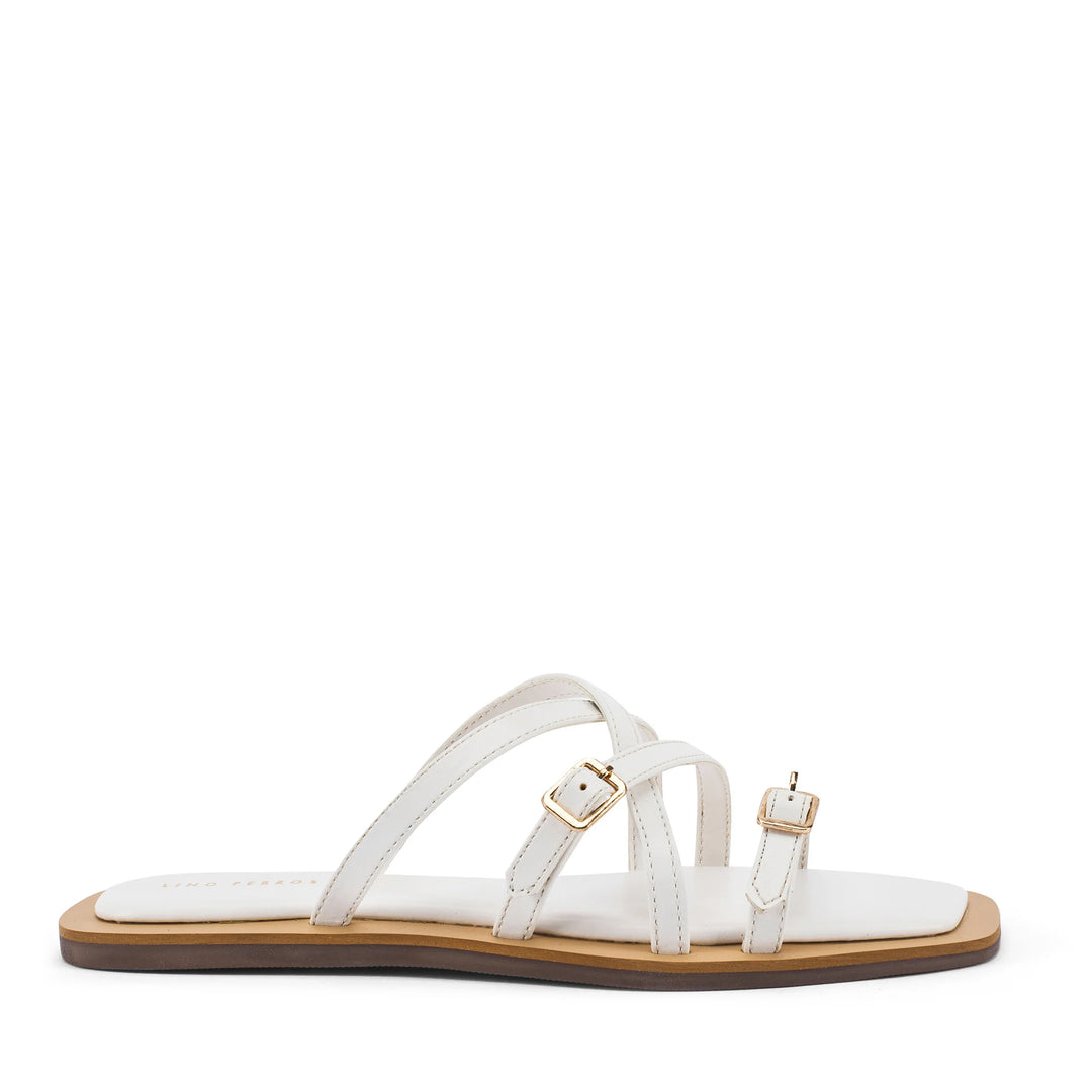 Mary Lise White Flats