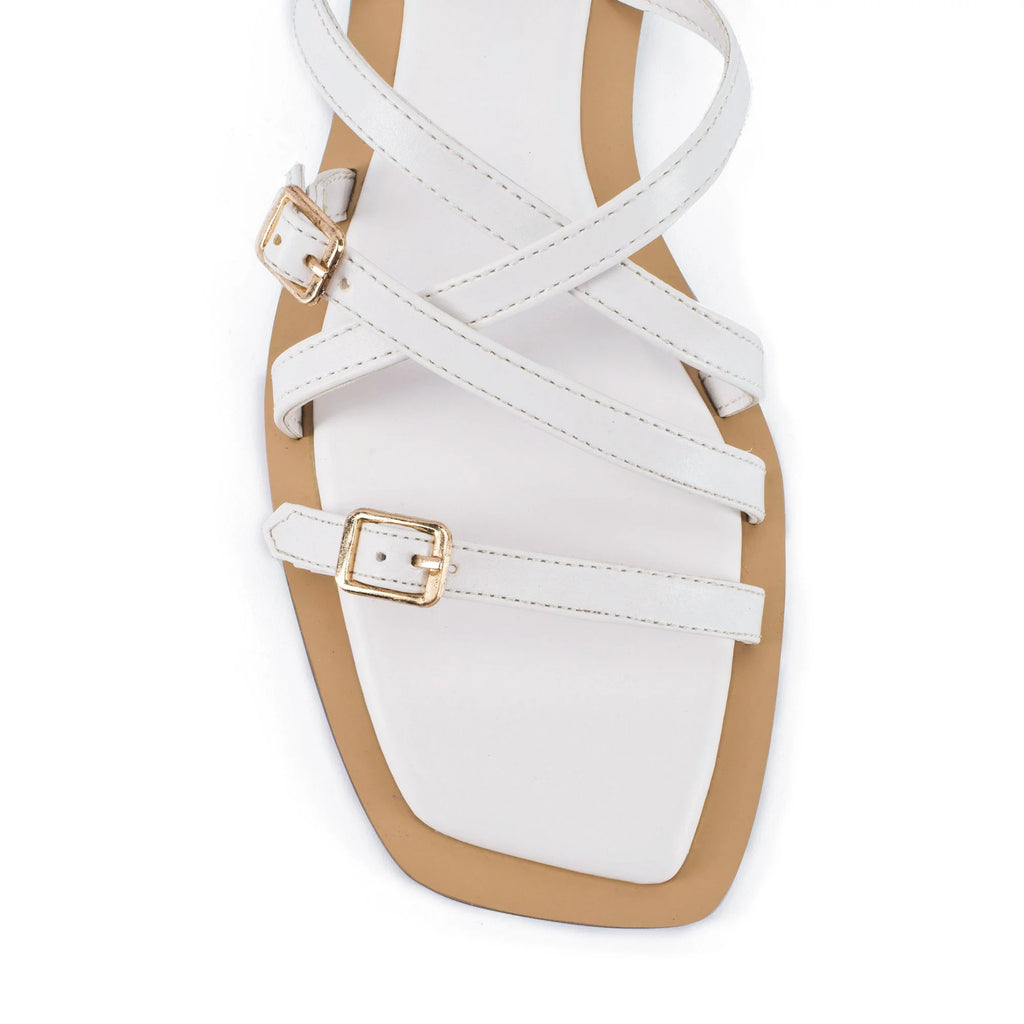 LWF00206WHITE-5 - Lino Perros