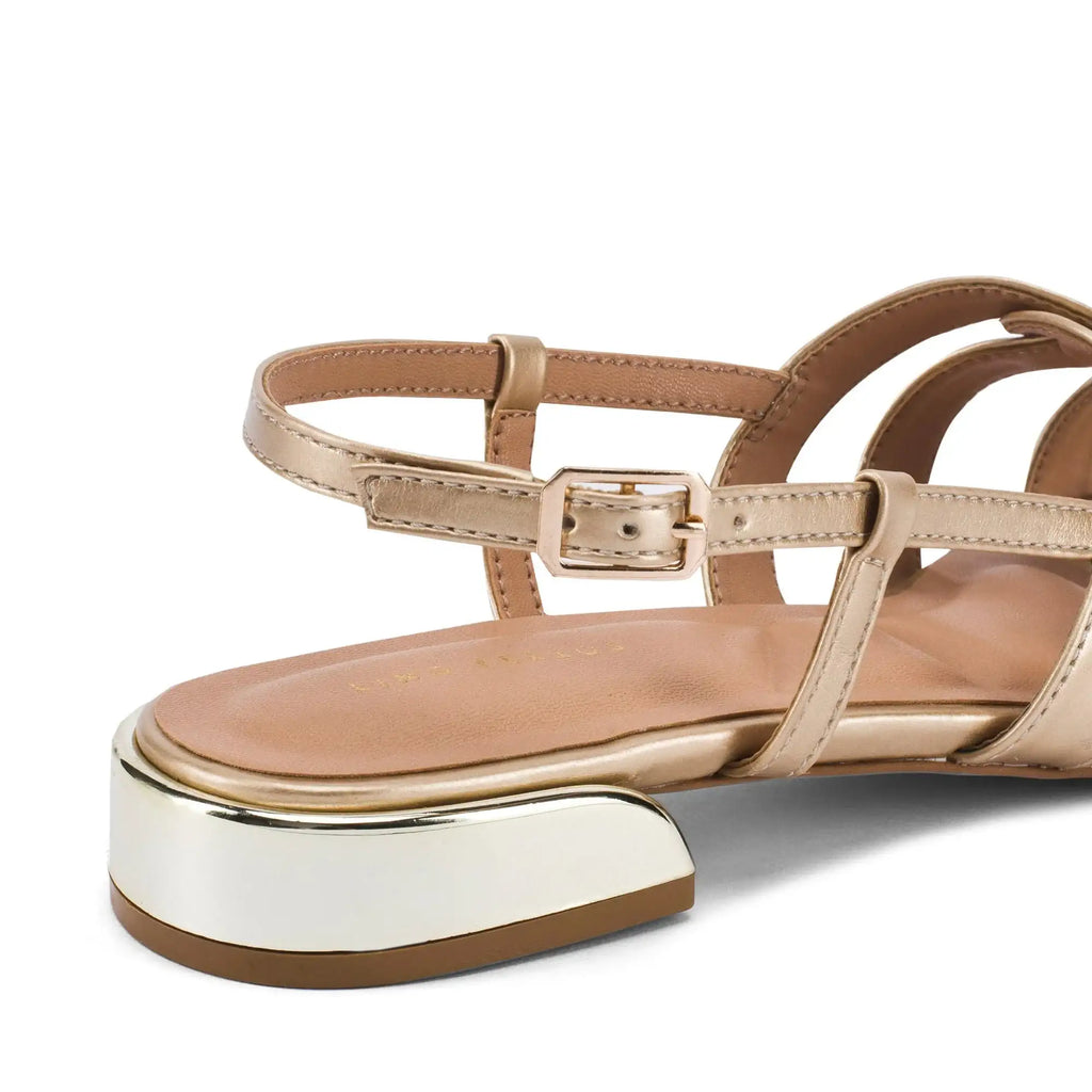Victoria Inga Gold Flats - Lino Perros