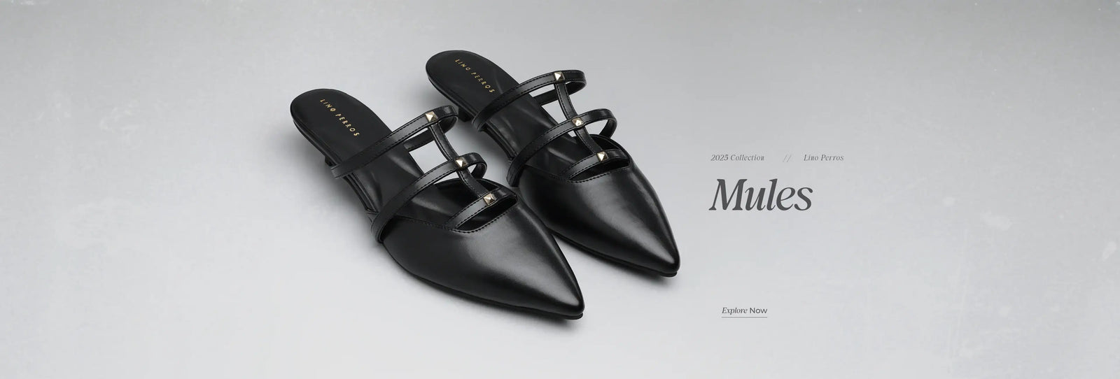 Handbags & footwear by Lino Perros