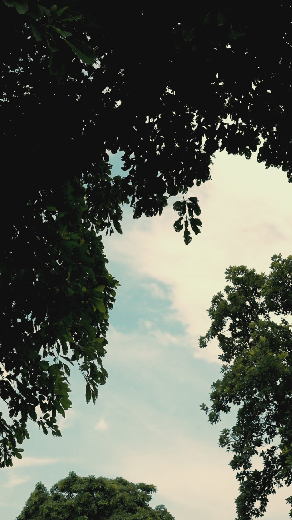 Ella Elite Coffee Handbag